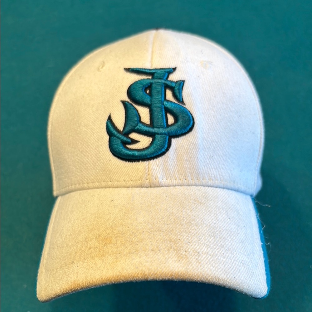 Vtg San Jose Sharks Zephyr Fitted Hat , M/L , $15